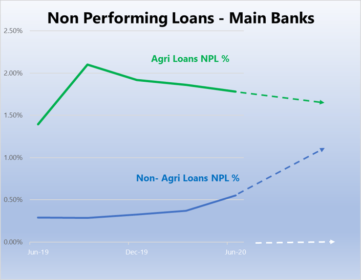 NPL- Main banks