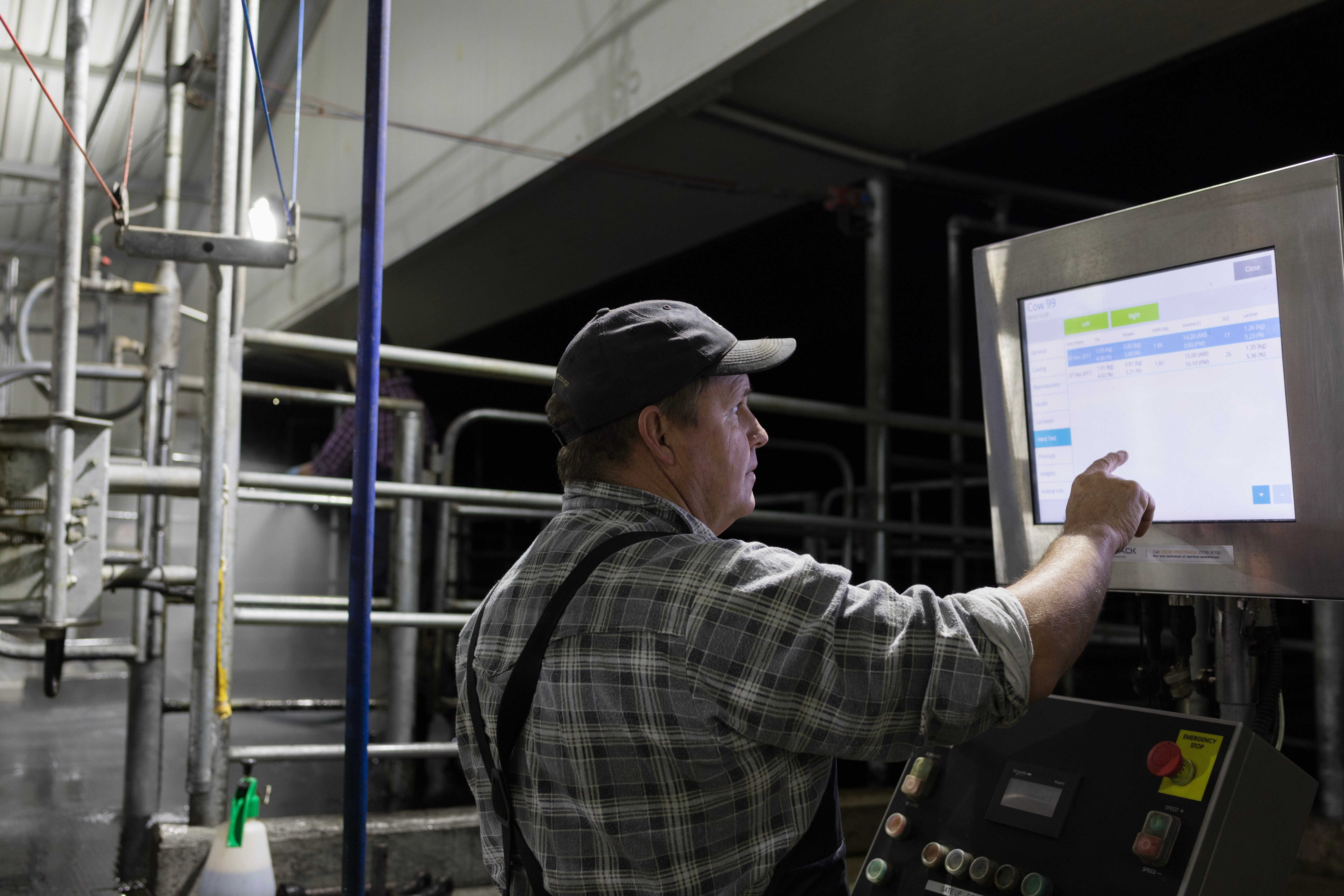 Setting up for milking