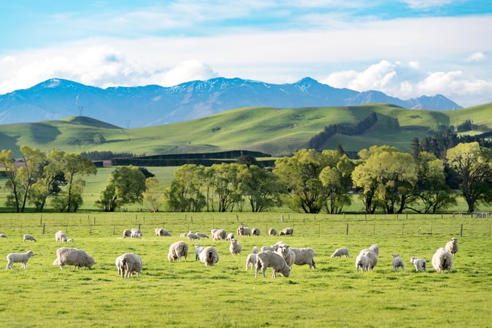 iStock-2164919023